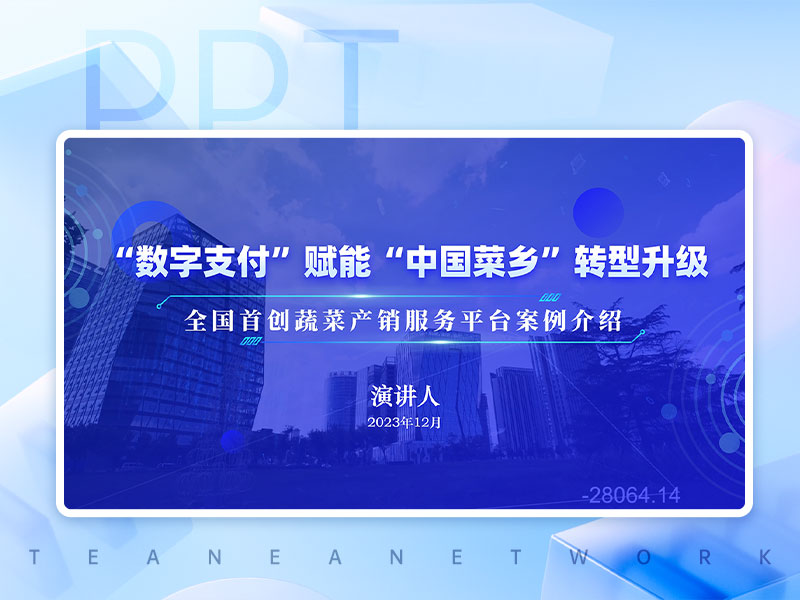 数字支付蓝色科技感工作汇报PPT